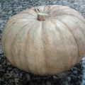 HALLOWEEN IS COMING......