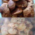 shiitake en conserva