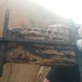 Un asado argentino