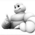guia Michelin 2009