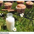 Magdalenas de leche merengada