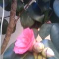 DÍA 15-3-2012