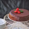 Bizcocho de chocolate con cobertura de[...]