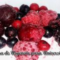 #27: FRUTAS DEL BOSQUE CONGELADAS. ¿DÓNDE[...]