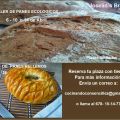 Talleres de Panaderia Artesanal Abril 2015