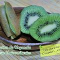 TRUCOS #13: CÓMO PELAR UN KIWI EN 10 SEGUNDOS[...]