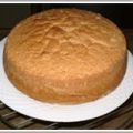 TORTA BÁSICA