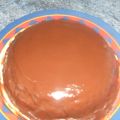 Bizco-flan de coco y chocolate