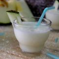 BATIDO DE MELON Y YOGURT