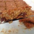 Cuadrados de avena, pasas de uva y miel