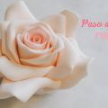 Paso a paso: Rosa