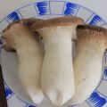Boletus a la sidra.