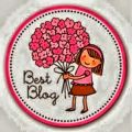 Un nuevo premio, Best Blog