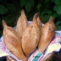 Banette, baguette con puntas