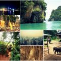 Gastronomía insólita de Tailandia (1)