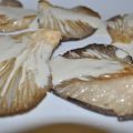 SETAS CON CREMA DE QUESO DE VALDEÓN