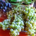 Gazpacho con Uvas
