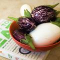 1er Carnaval de la Nutrición: Educarse para[...]