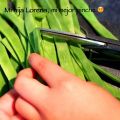 Hervido de Judías, Patatas, Zanahorias y Cebolla