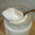 YOGUR NATURAL CREMOSO I