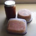 SALSA DE TOMATE EN CONSERVA Y CONGELADO