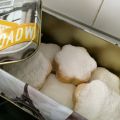 Nevaditos