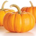 CALABAZA CON AJO Y ZUMO DE LIMA