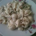 PASTA CONCHITAS CON ATUN