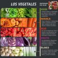 VERDURAS Y HORTALIZAS Parte II Propiedades y[...]
