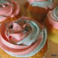 Premio al blog y cupcakes bicolor!