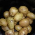 PAPAS ARRUGADAS Y MOJO PICON