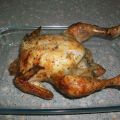 Pollo mareado