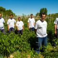 Gardeniers: consumo sostenible y con motivación[...]