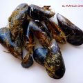 ¿CÓMO LIMPIAMOS LOS MEJILLONES?