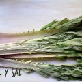 Cardo con salsa de almendras