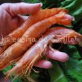 Gambones al horno