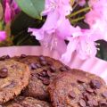Choco cookies