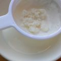 Kéfir de leche casero