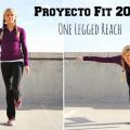 Proyecto Fit 2013: One Legged Reach