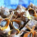 Cañaillas cocidas ( gastronomía gaditana)