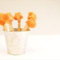 DIVERTIDAS PIRULETAS DE GAZPACHO