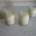 Vasitos de limón y fresa