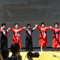 Buenos Aires celebra Armenia - 2013