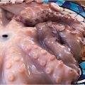 Érase una vez... el pulpo