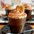 Tardes de café y galletas.