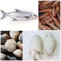 Pescado de temporada: octubre