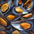 Mejillones al vapor con picadillo de verdura