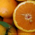 AZÚCAR DE NARANJA