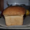 PAN DE MOLDE