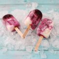 Polos helados de yogur y arándanos